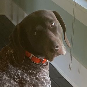 Meet your Posher, Colin